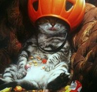 catnip_and_halloween_candy_is_a_helluva_mix_200