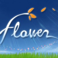 High Score: Flower