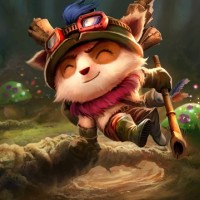 teemo-foto