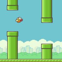 1391441789000-flappy