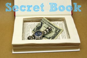 secret+safe+compartment+book