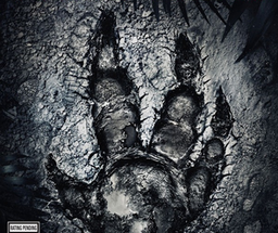 Evolve_Box_Art