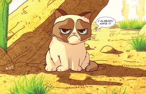 grumpycat01-prcover-137467