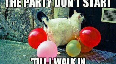 party
