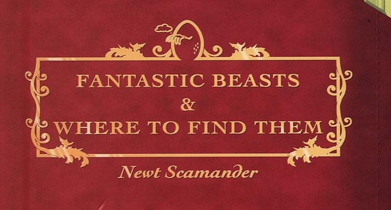 Female Lead Cast In Fantastic Beasts And Where To Find Them