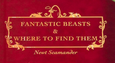 Screen Shot 2015-06-25 at 03.40.32