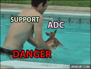 support adc