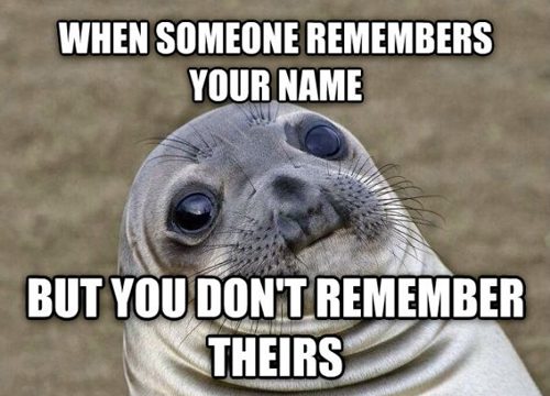 awkward-moment-seal-A1A