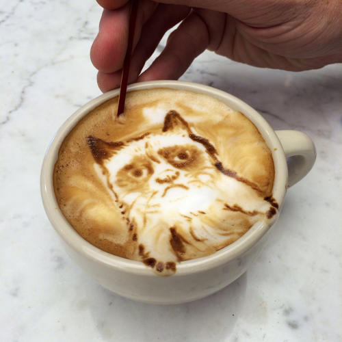 Grumpy Cat Coffee Art