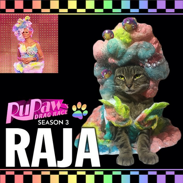 Raja