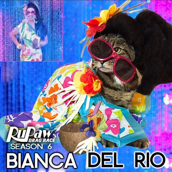 Bianca