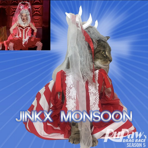 Jinkx