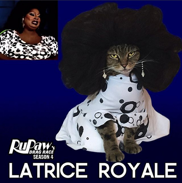 Latrice