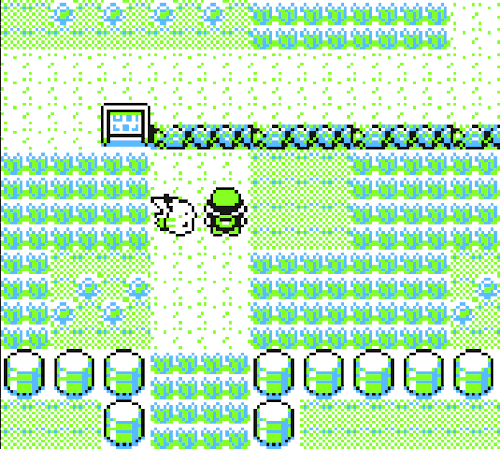 Banjo Guy Ollie – Route 1 Pokémon Red/Blue/Yellow