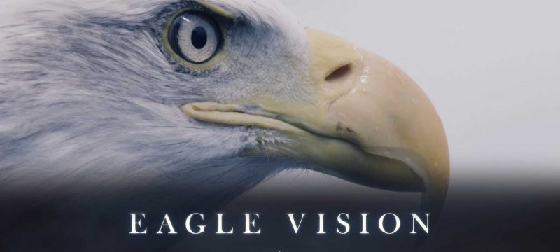 1444905683-eagle-vision