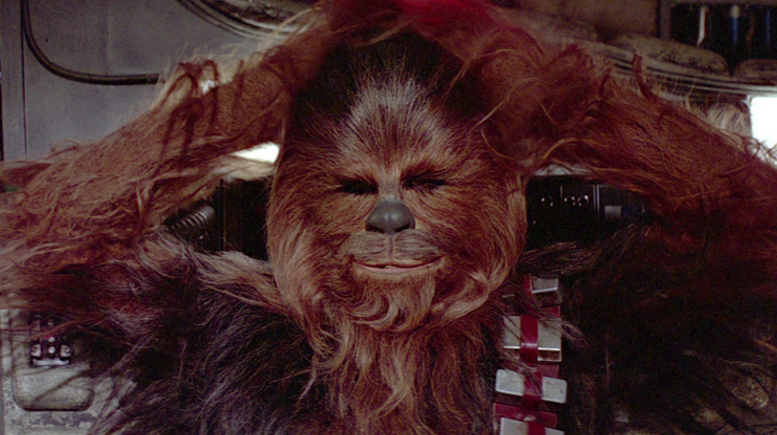 Chewbacca In Court In Ukraine For Not Having ID On Election Day