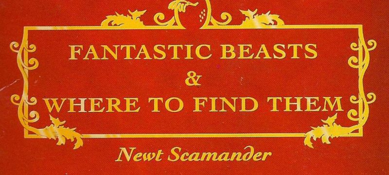 fantasticbeasts-xlarge