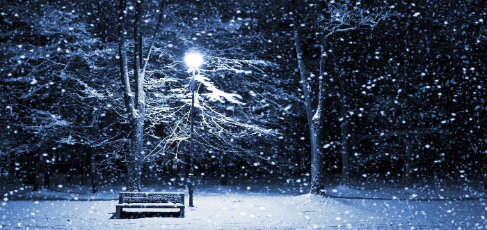 winter-snow-tree-blizzard