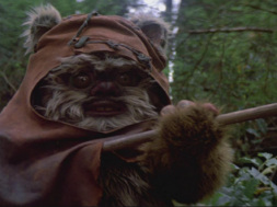 ewok endor