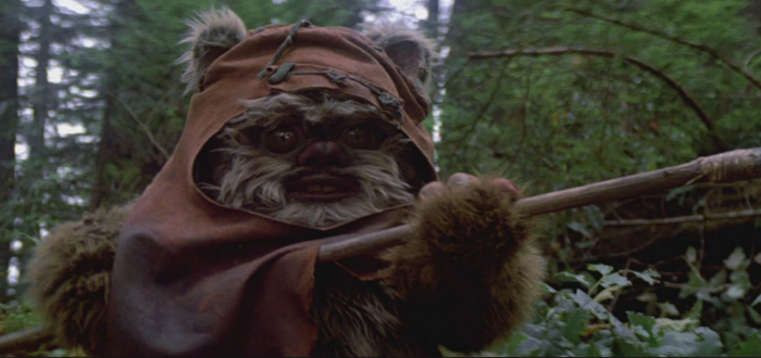 ewok endor