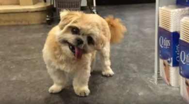 Marnie