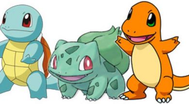 Special Pokemon Costumes