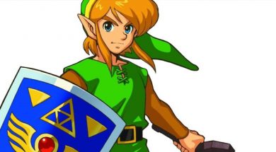 Link Hoodie