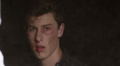 Shawn Mendes Stitches