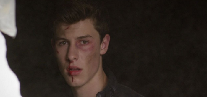 Shawn Mendes Stitches