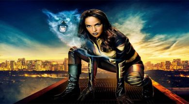 Vixen Arrow