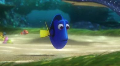 DORY