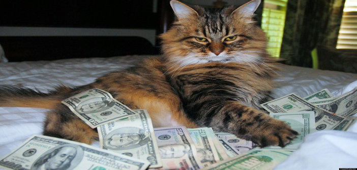 rsz_o-cash-cat-facebook