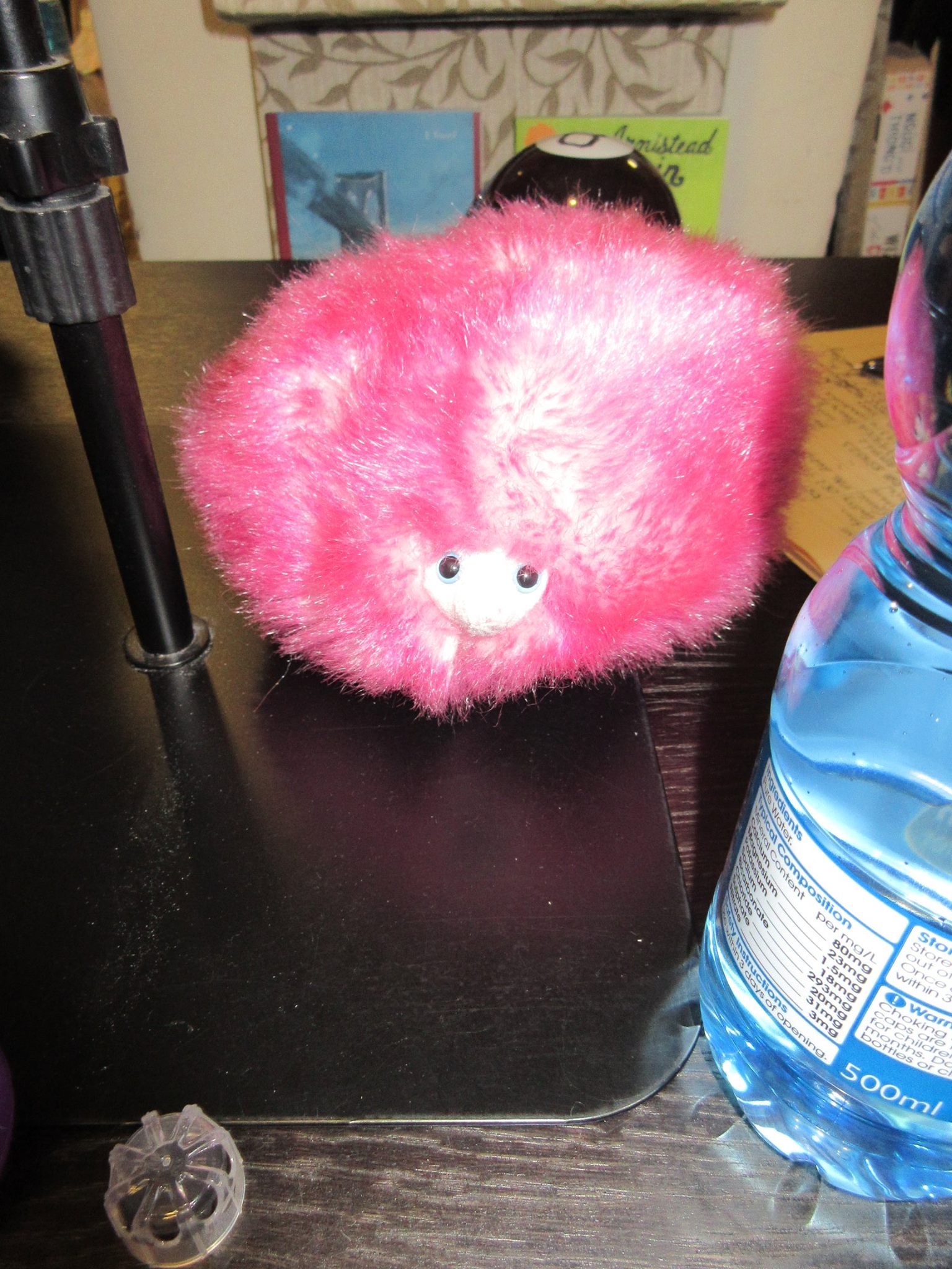 pygmy puff