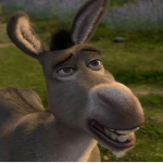 Donkey