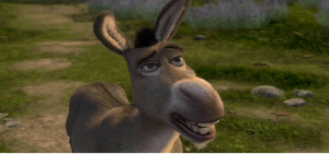 Donkey