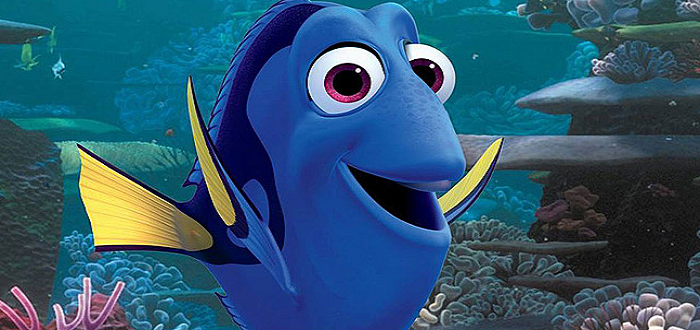 Dory