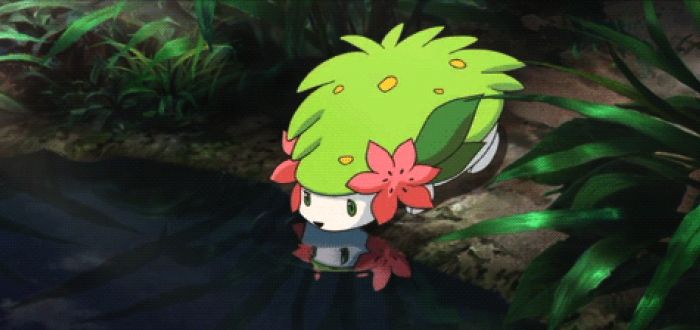 European Pokemon Shaymin Event Begins