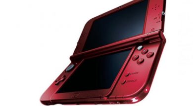 3DS