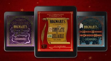 Carousel_-_Hogwarts_Guide_FINAL
