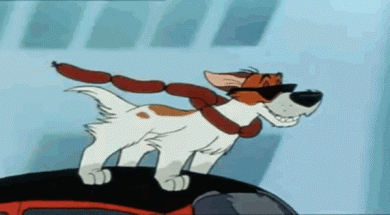 anigif_enhanced-buzz-12400-1368476984-38_700x330