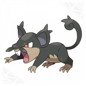 a-rattata