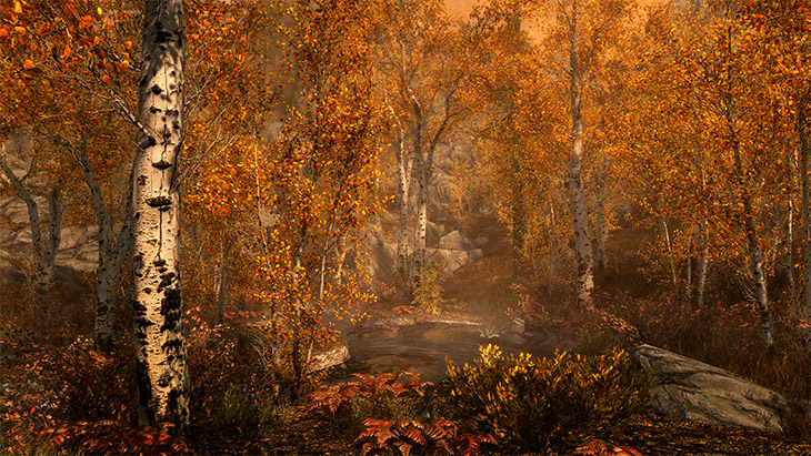 skyrimse_fallforest_730x411