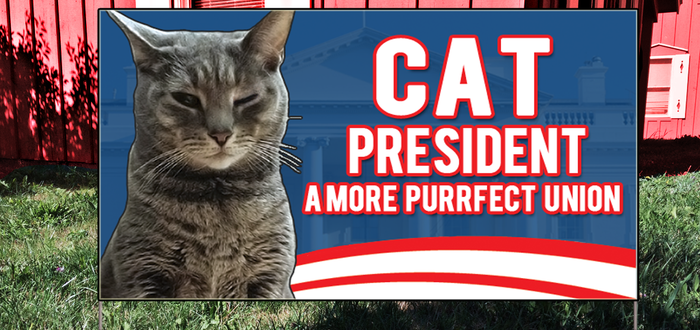 Cat President Review – Earn Those Presidential Purrs!