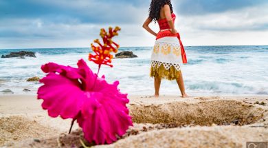 moana-momokurimi