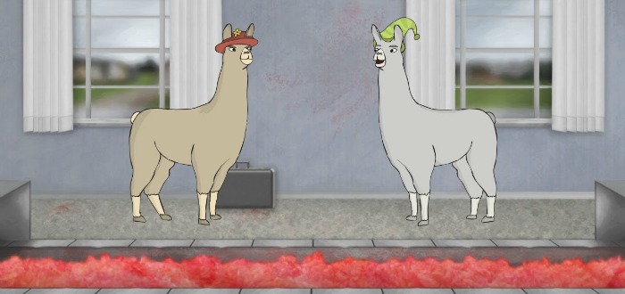 Llamas with Hats – Viral Video