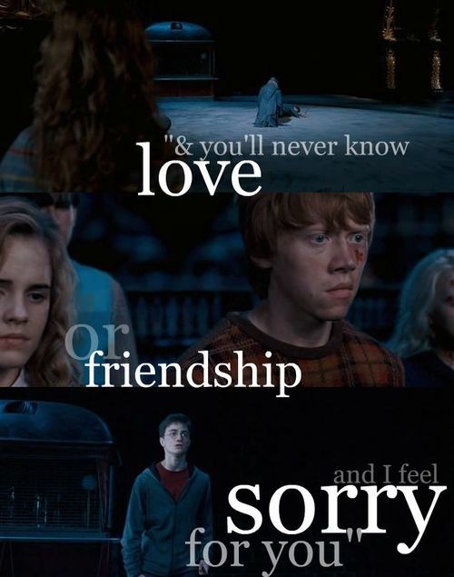 Harry Potter feels sorry for Voldemort