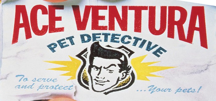 Ace Ventura: Pet Detective – Screen Savers