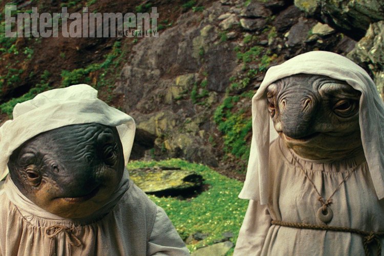 Meet The Newest Star Wars: The Last Jedi Cast Members – The Caretakers