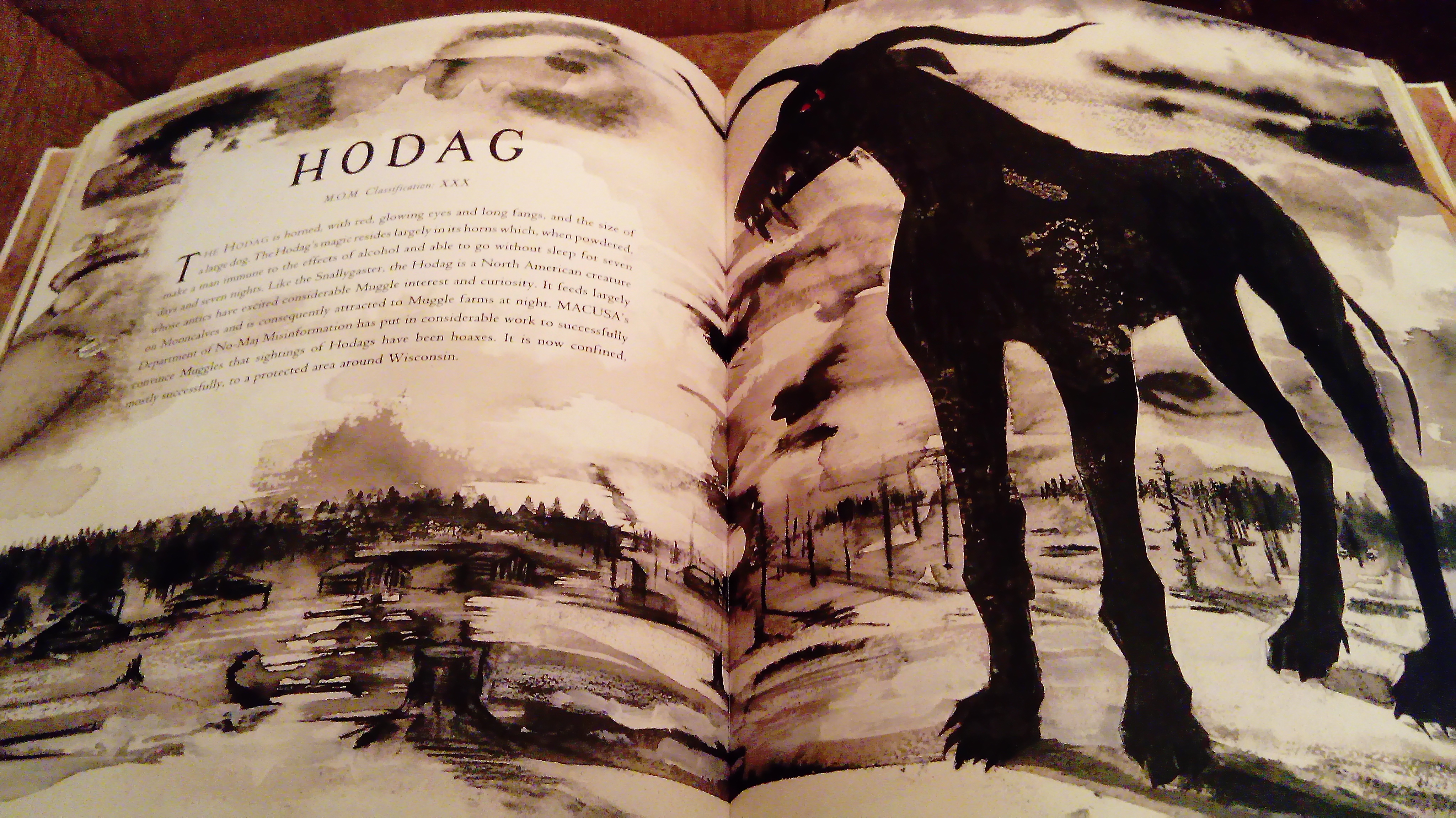 Fantastic beasts sample illustrated page