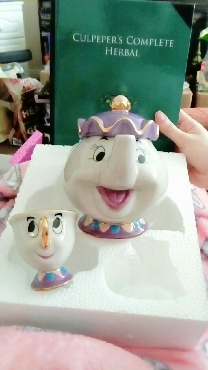 Mrs Potts and chip